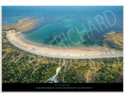Lagon Oléronais plage des Bonnes