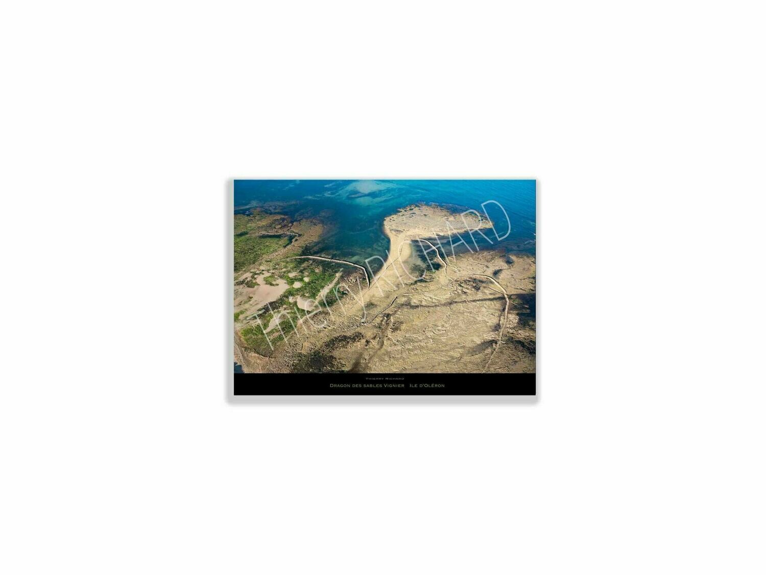 Dragon des sables Dragon des sables, Dimensions photo: Tirage 30x40 cm