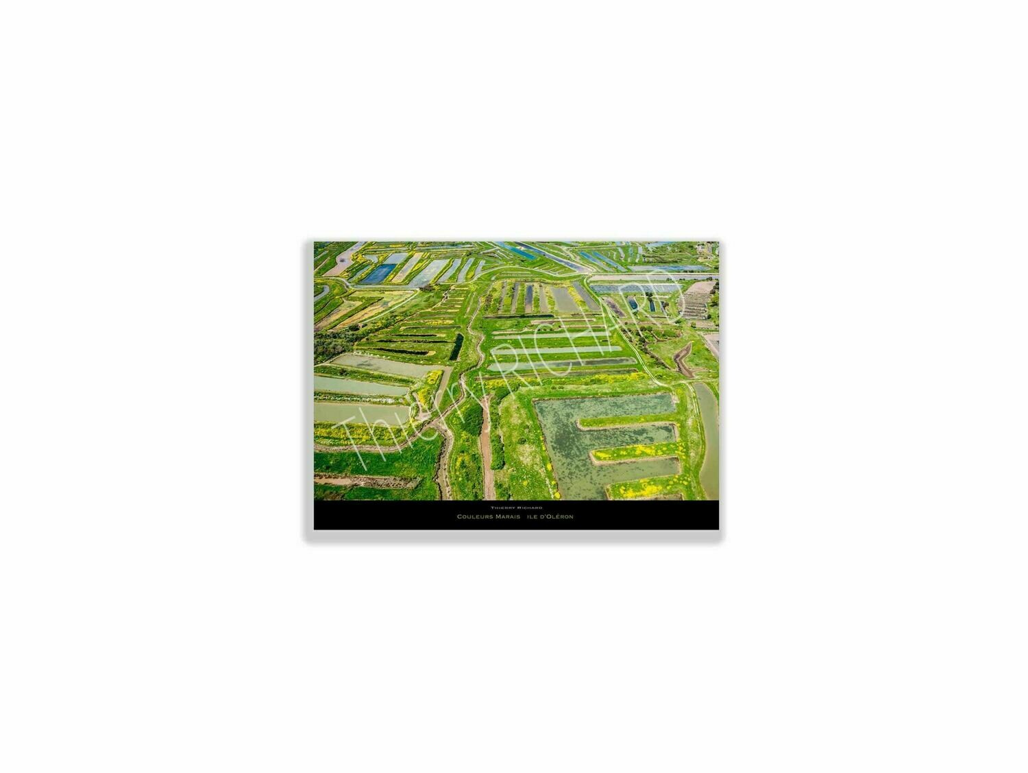 Couleurs marais Couleurs marais, Dimensions photo: Tirage 30x40 cm