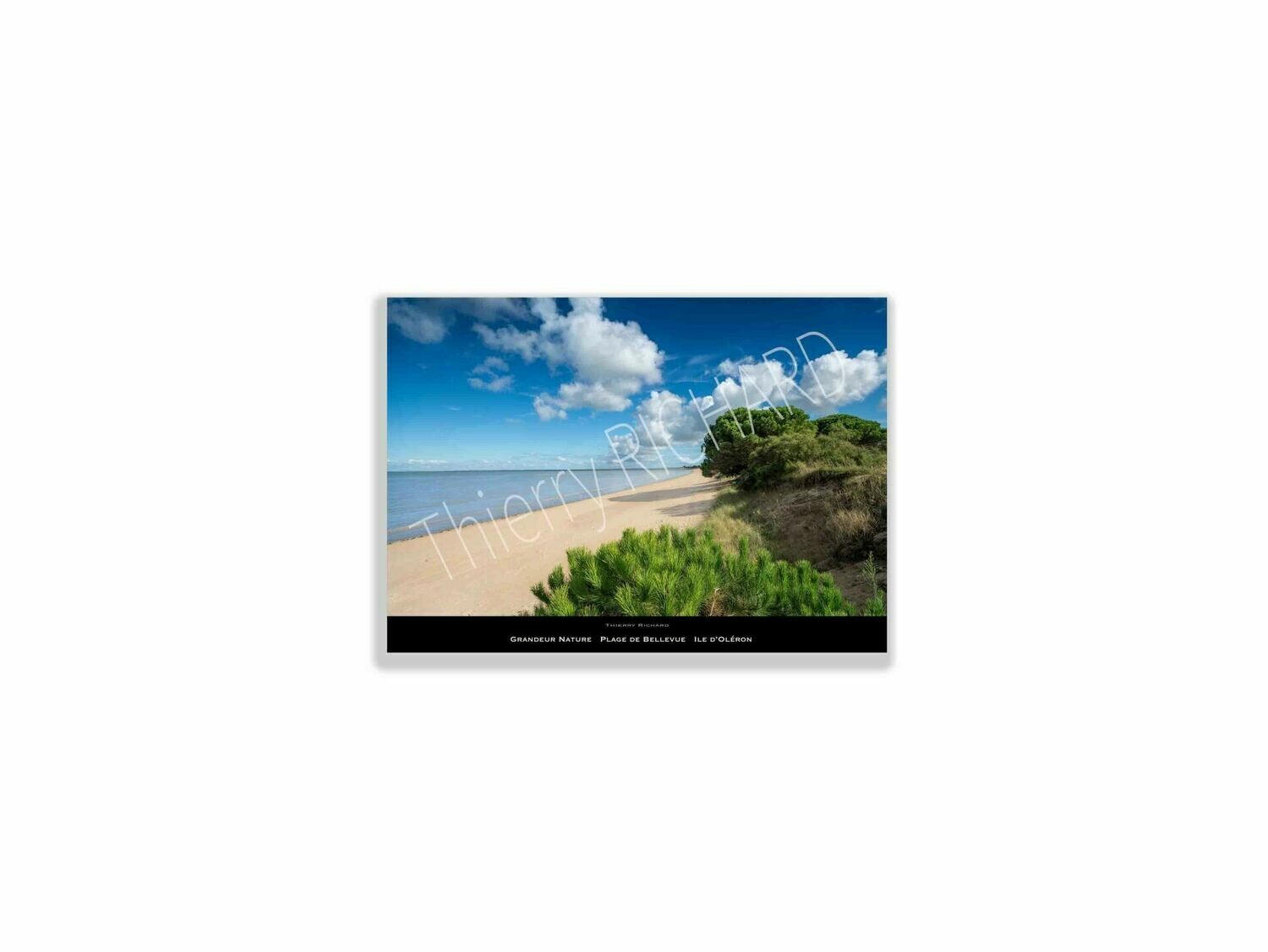 Grandeur nature plage de Bellevue Grandeur nature plage de Bellevue, Dimensions photo: Tirage 30x40 cm