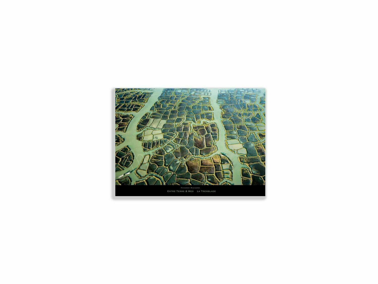Entre terre & mer la Tremblade Entre terre & mer la Tremblade, Dimensions photo: Tirage 30x40 cm