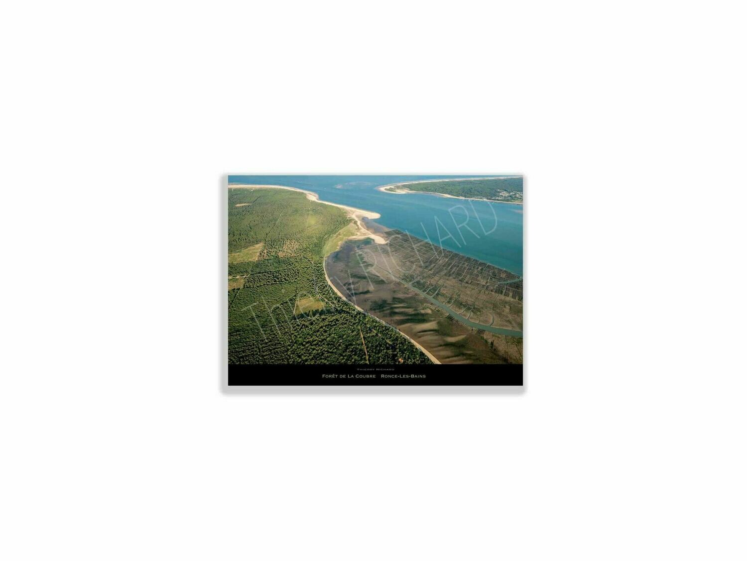 Fôret de la Coubre Fôret de la Coubre, Dimensions photo: Tirage 30x40 cm