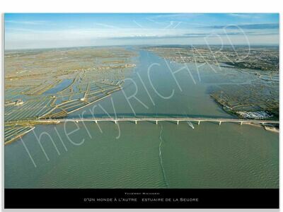 d'un monde à l'autre estuaire de la Seudre d'un monde à l'autre estuaire de la Seudre