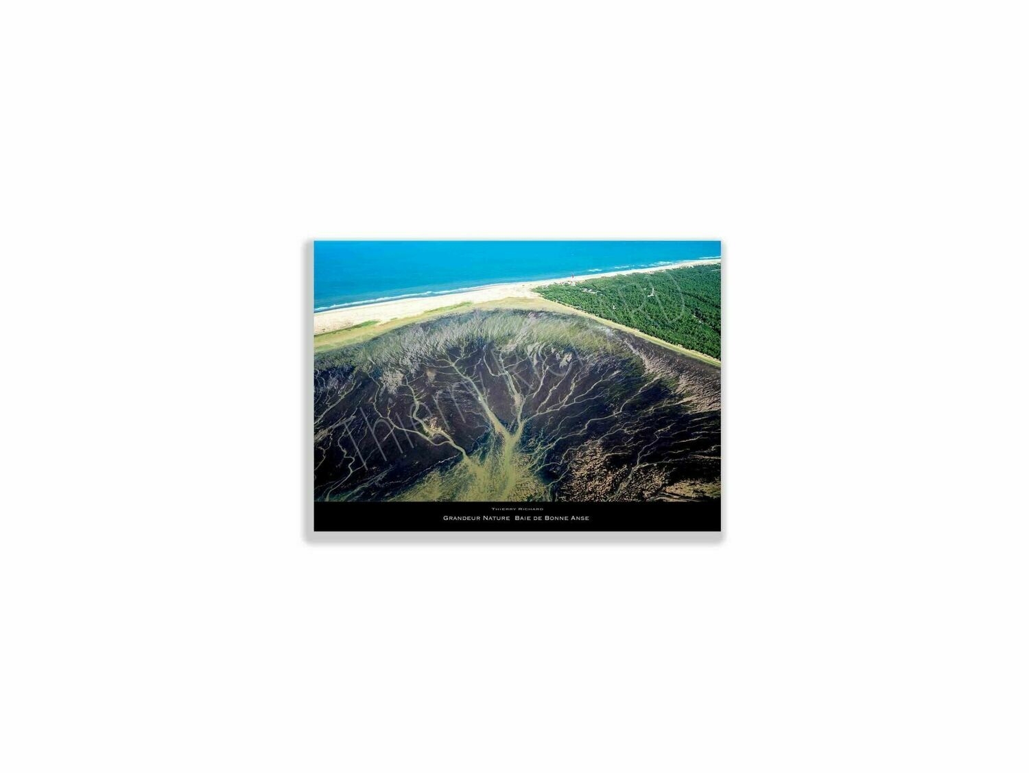 Grandeur Nature Baie de bonne anse Grandeur Nature Baie de bonne anse, Dimensions photo: Tirage 30x40 cm
