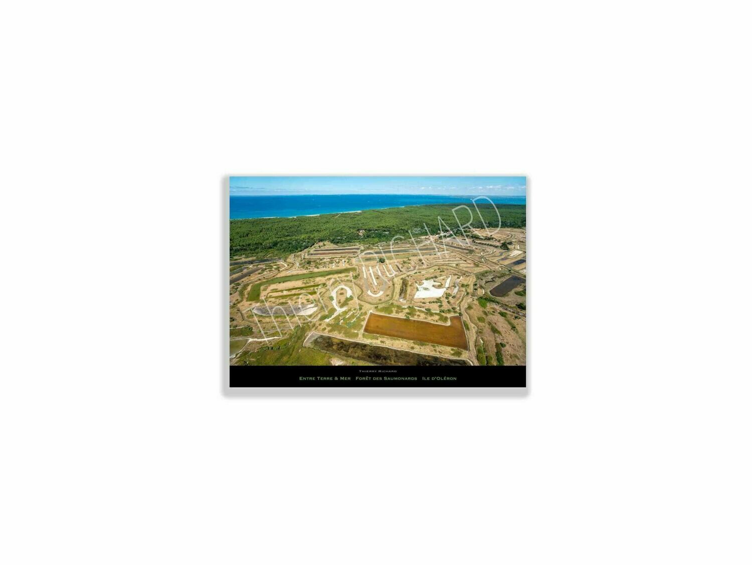 Entre Terre & Mer Forêt des Saumonards Entre Terre & Mer Forêt des Saumonards, Dimensions photo: Tirage 30x40 cm