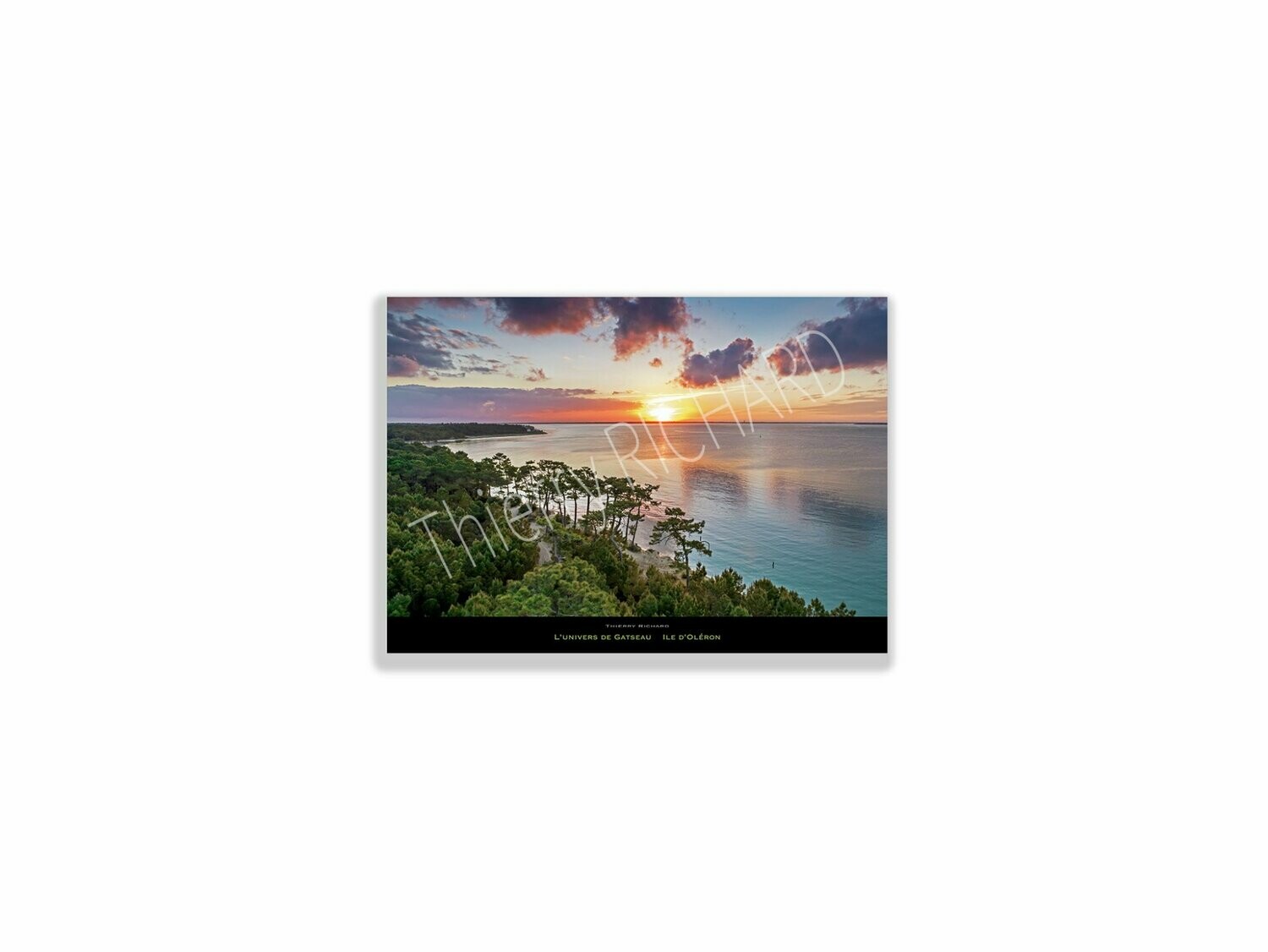 l'univers de Gatseau, Dimensions photo: Tirage 30x40 cm
