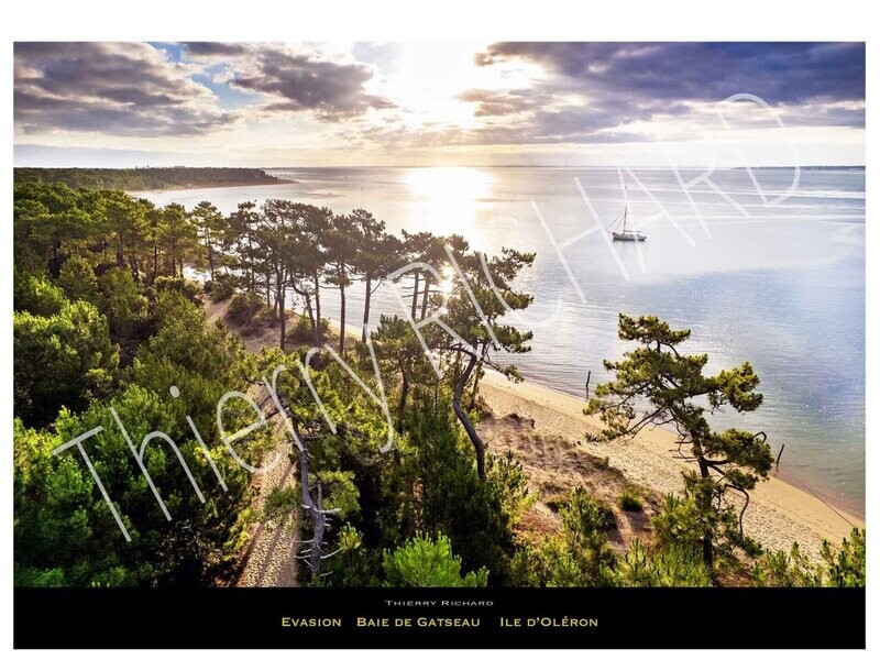 Evasion Gatseau