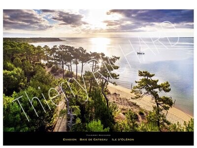 Evasion Gatseau