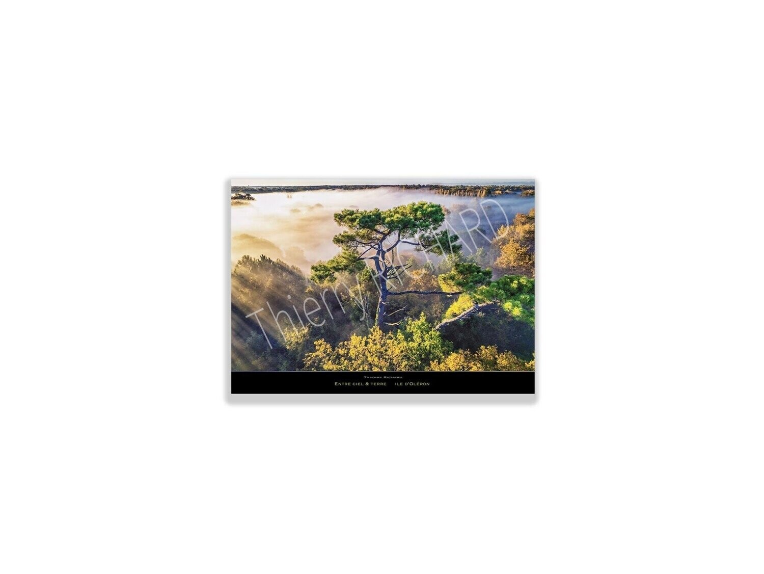 Entre terre & ciel, Dimensions photo: Tirage 30x40 cm