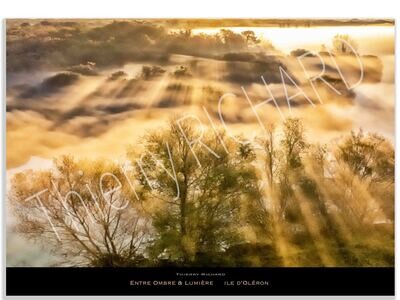 Entre Ombre & Lumière