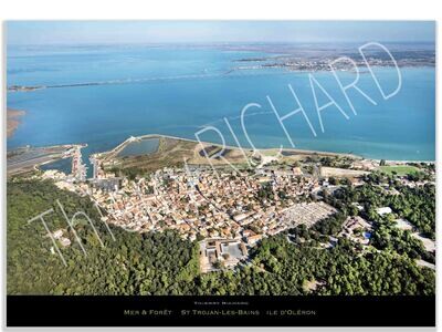 Mer & Forêt  St-Trojan-Les-Bains