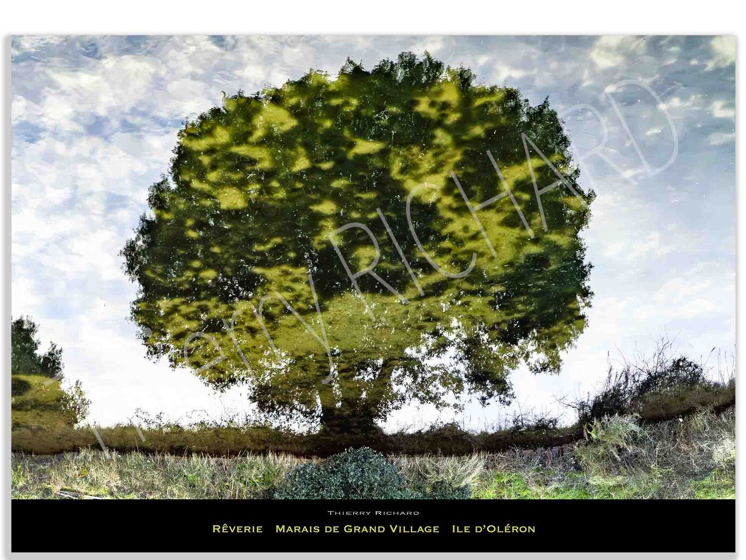 Rêverie marais de Grand Village