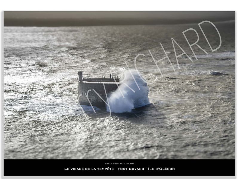 Le visage de la tempête   Fort Boyard