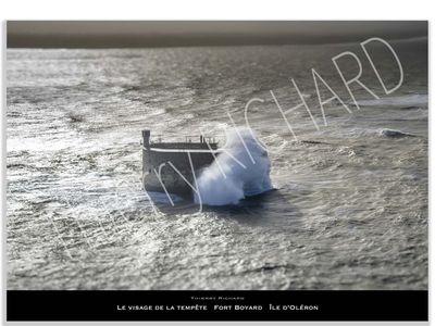 Le visage de la tempête   Fort Boyard