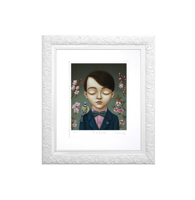 THE DREAMY BOY