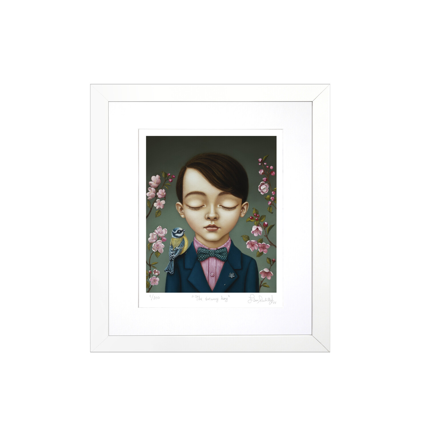 THE DREAMY BOY