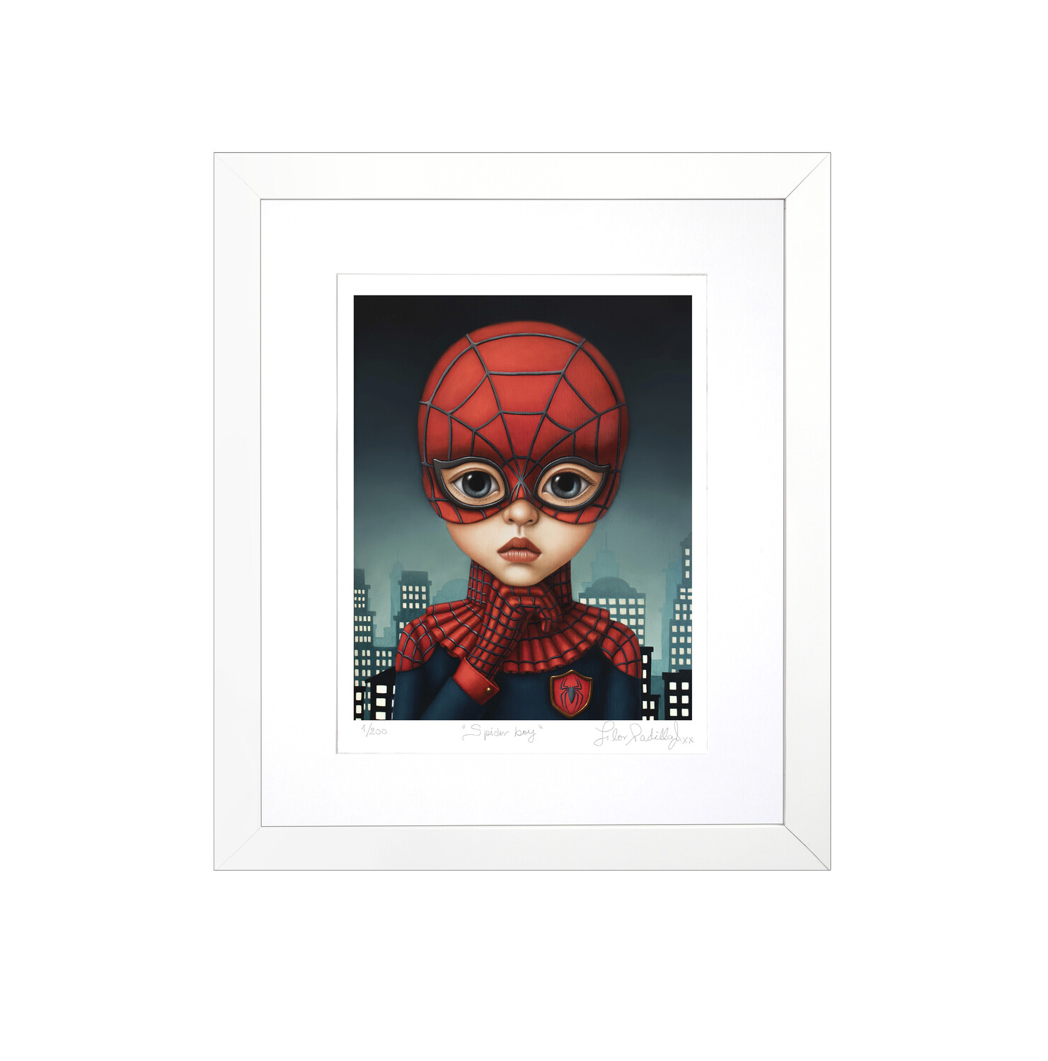 SPIDER BOY