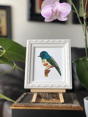 GREEN BIRD