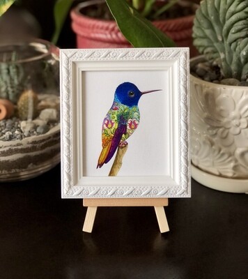 MAGIC HUMMINGBIRD