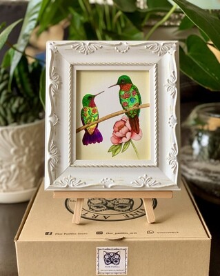 PICAFLORES FLORIDOS