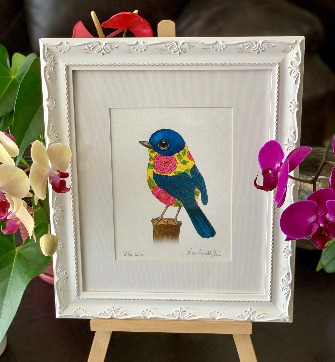 BLUE BIRD
