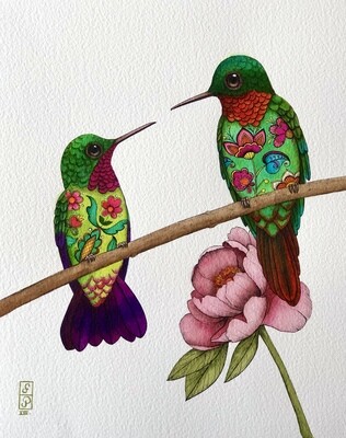 PICAFLORES FLORIDOS