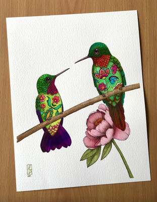 PICAFLORES FLORIDOS