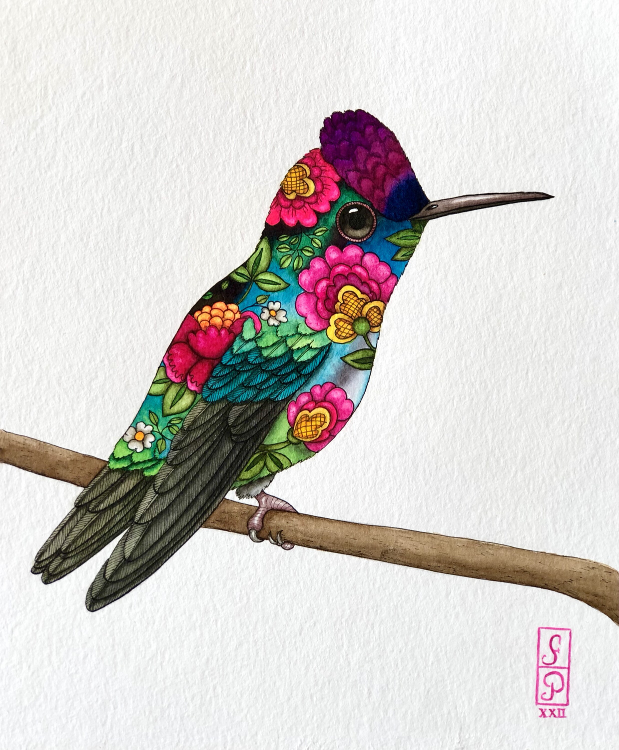 FANTASTIC HUMMINGBIRD