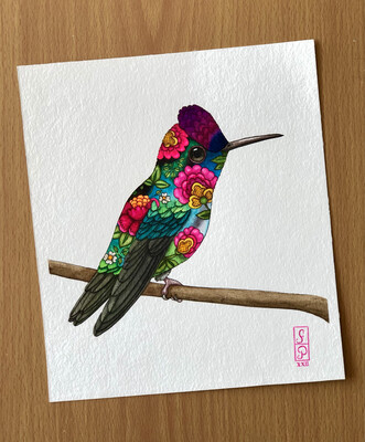 FANTASTIC HUMMINGBIRD