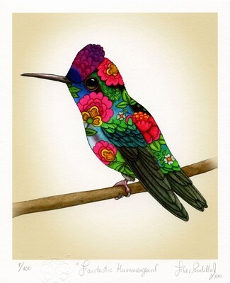 FANTASTIC HUMMINGBIRD