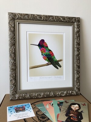 FANTASTIC HUMMINGBIRD