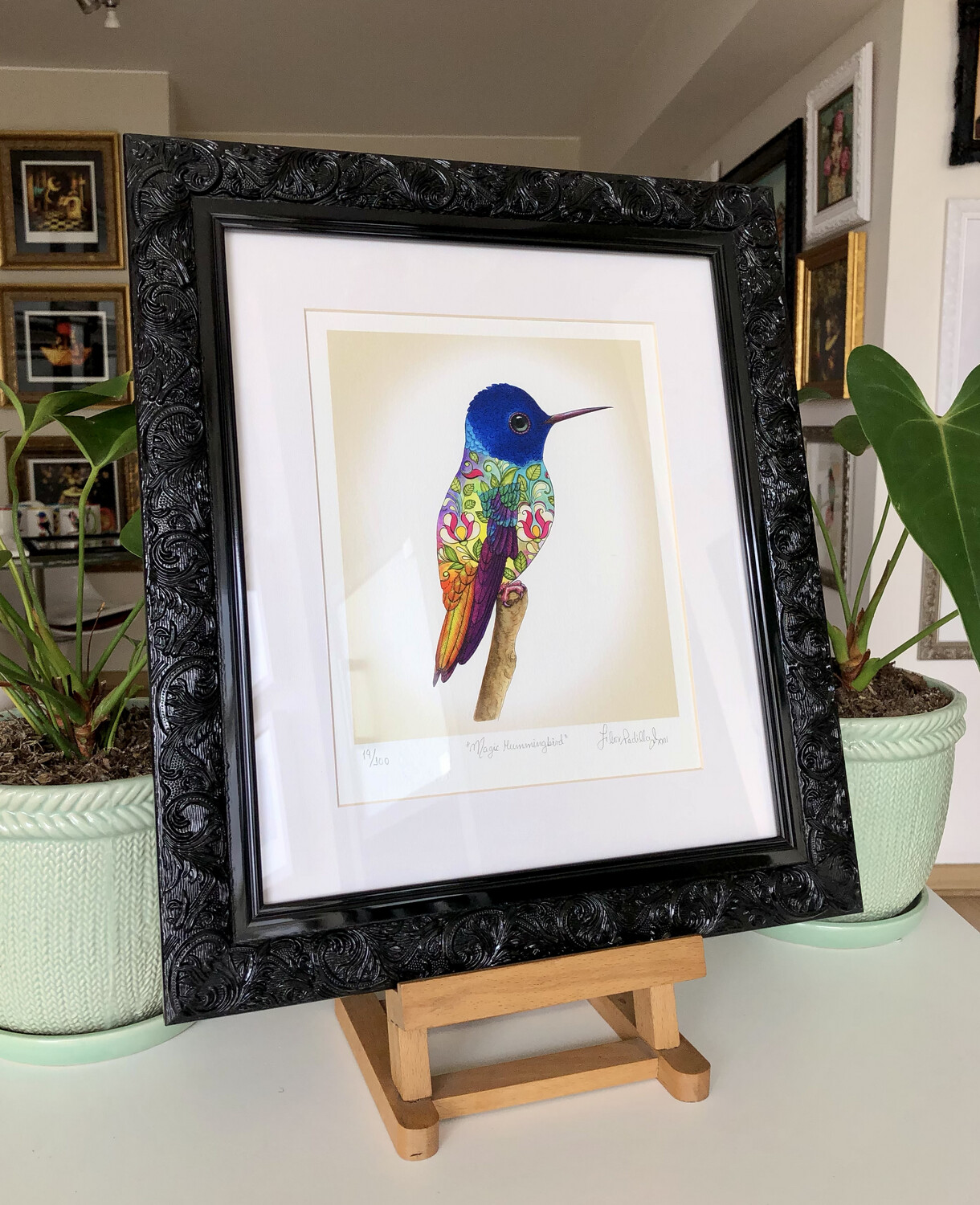 MAGIC HUMMINGBIRD