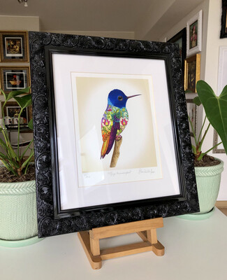 MAGIC HUMMINGBIRD