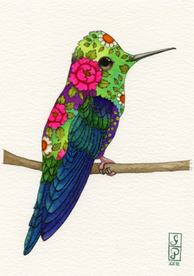 SPRING HUMMINGBIRD