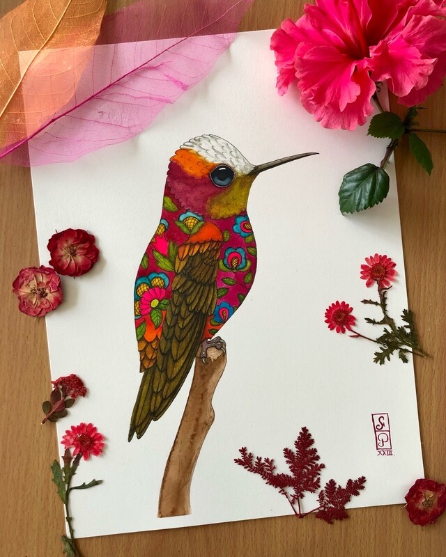 SUNRISE HUMMINGBIRD