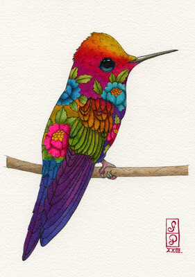 SUNSET HUMMINGBIRD
