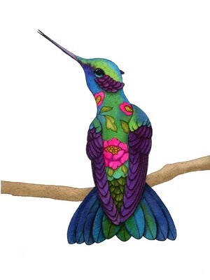 DREAMY HUMMINGBIRD