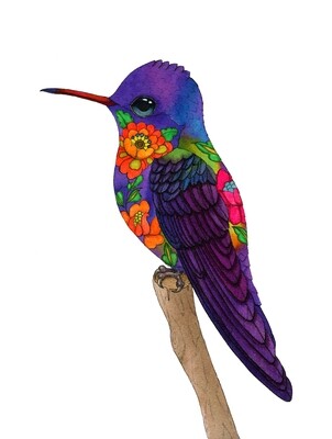 TWILIGHT HUMMINGBIRD