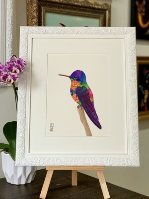 TWILIGHT HUMMINGBIRD