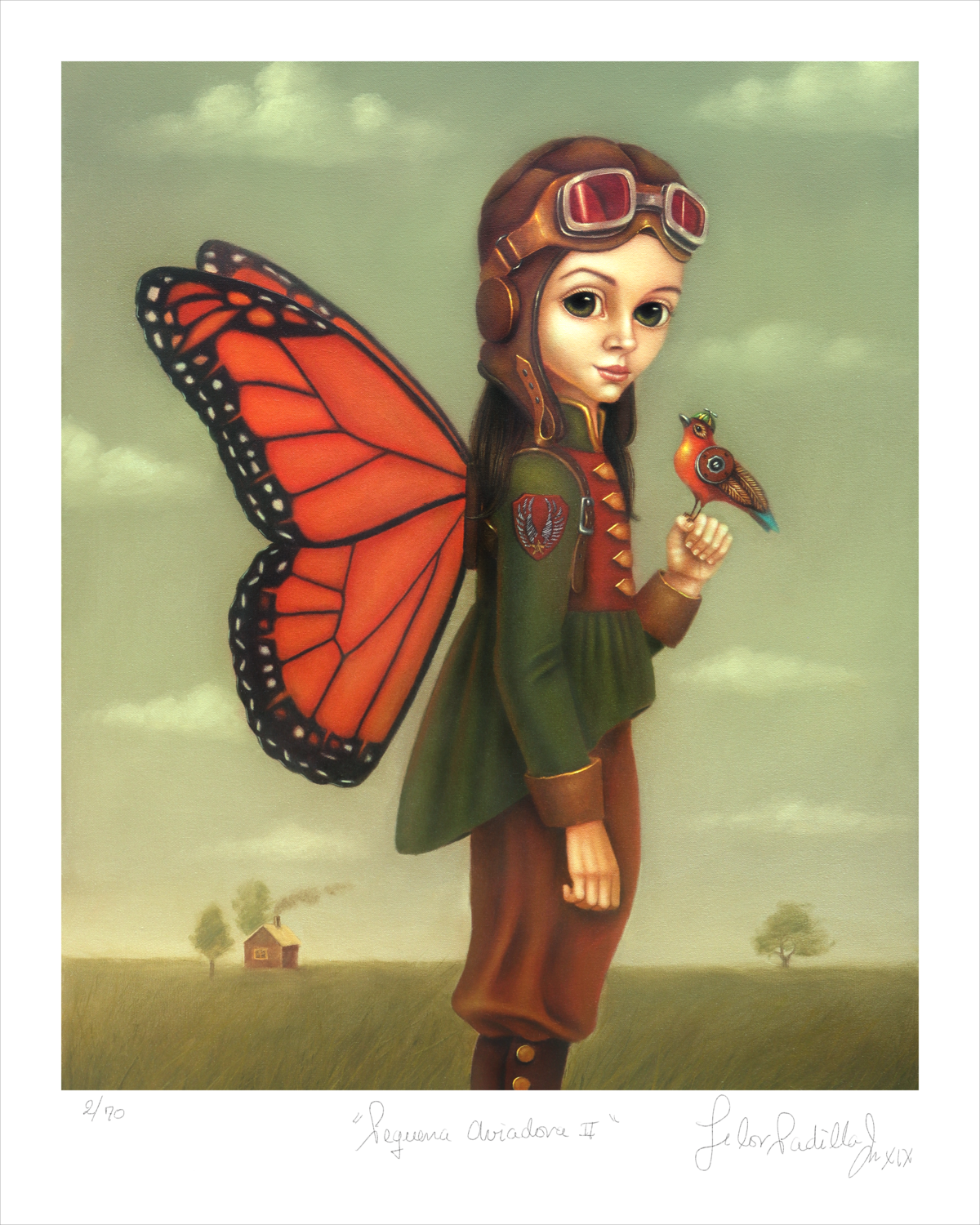 PEQUEÑA AVIADORA II