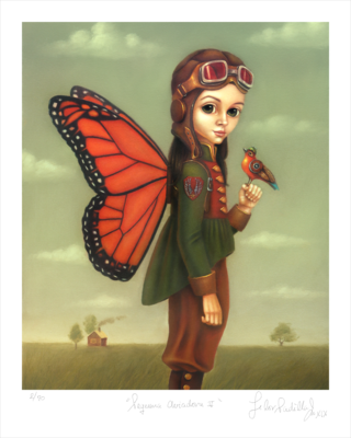 PEQUEÑA AVIADORA II