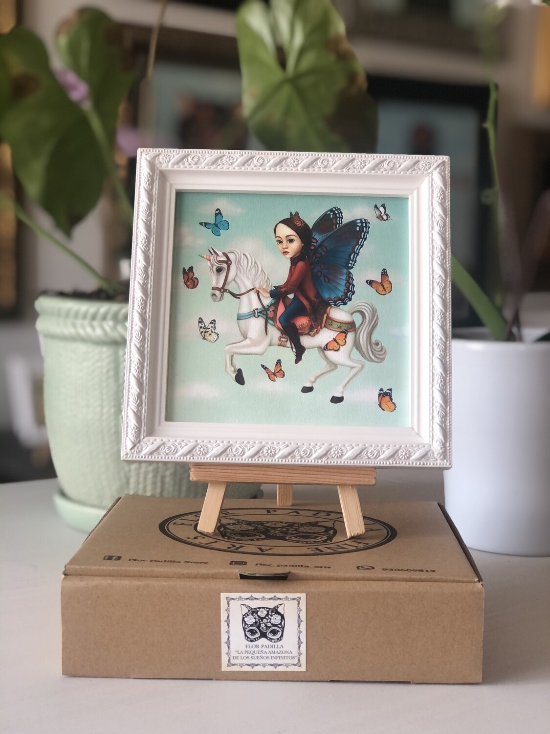 LA PEQUEÑA AMAZONA DE LOS SUEÑOS INFINITOS