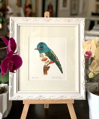 GREEN BIRD
