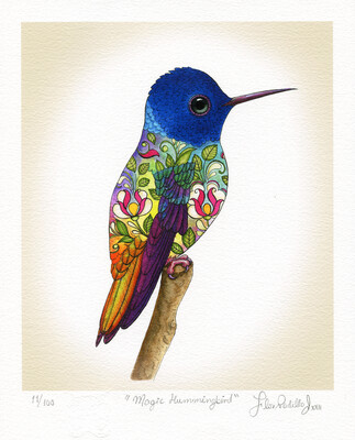 MAGIC HUMMINGBIRD