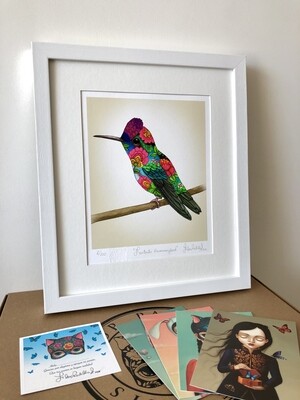 FANTASTIC HUMMINGBIRD