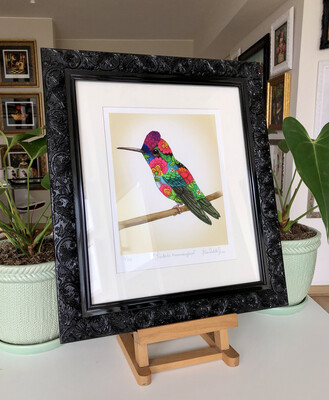 FANTASTIC HUMMINGBIRD