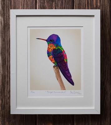 TWILIGHT HUMMINGBIRD