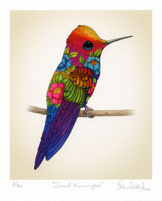 SUNSET HUMMINGBIRD