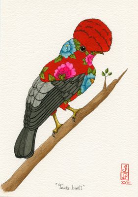 TUNKI BIRD I
