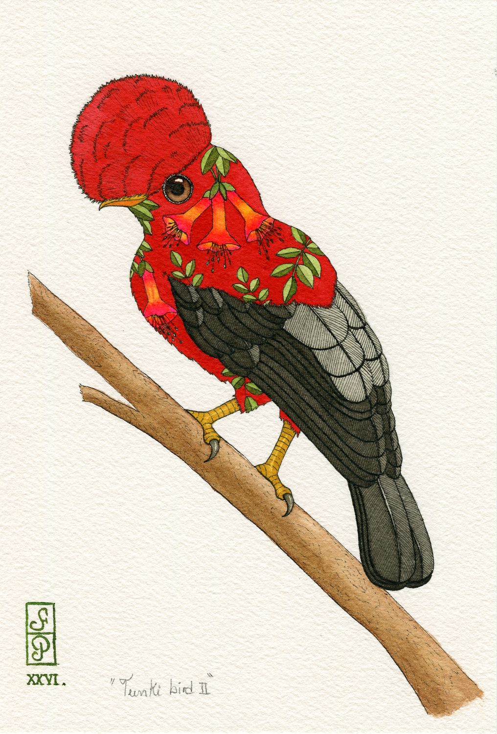 TUNKI BIRD II